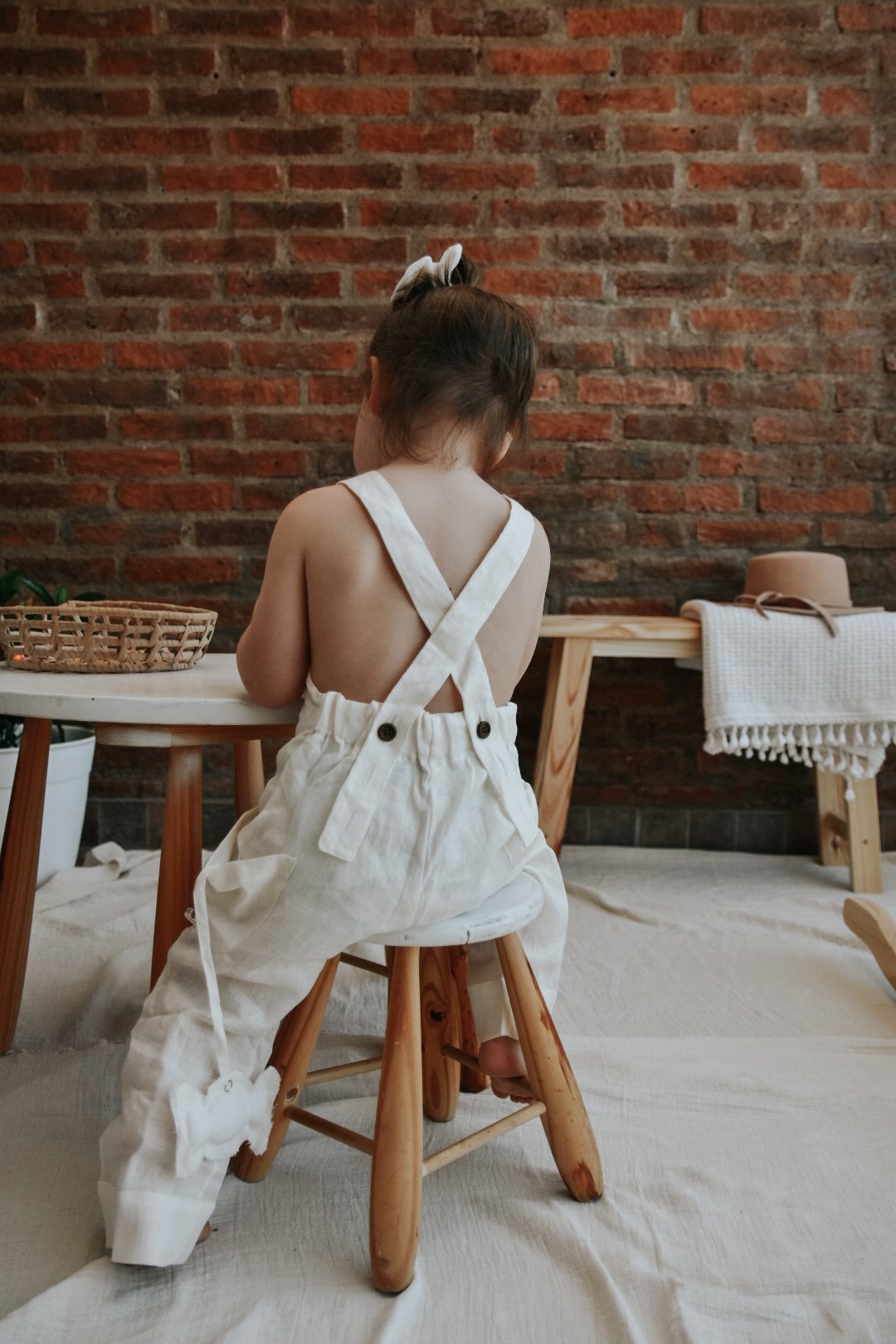 LookBook Conocer 2023