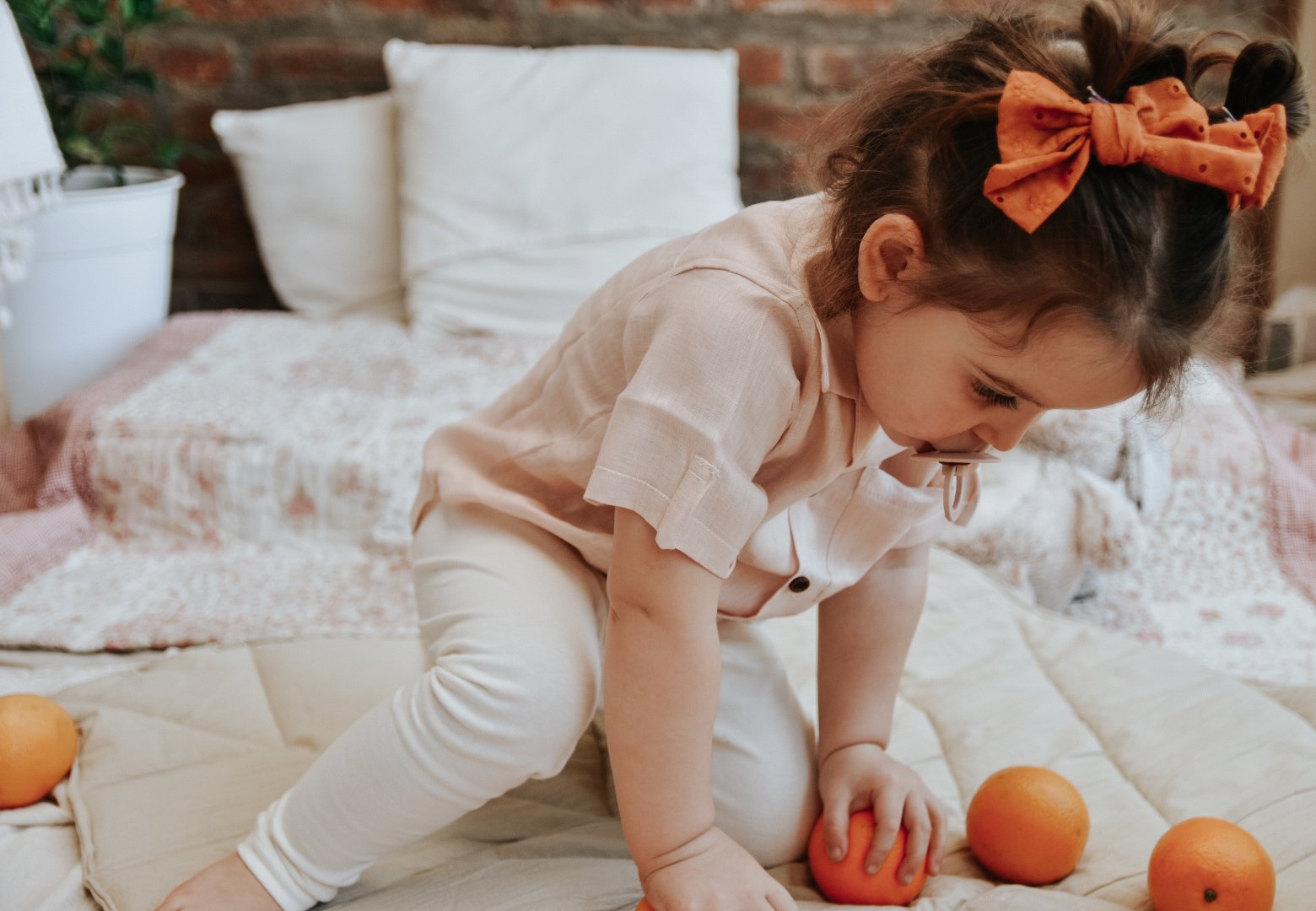 LookBook Conocer 2023